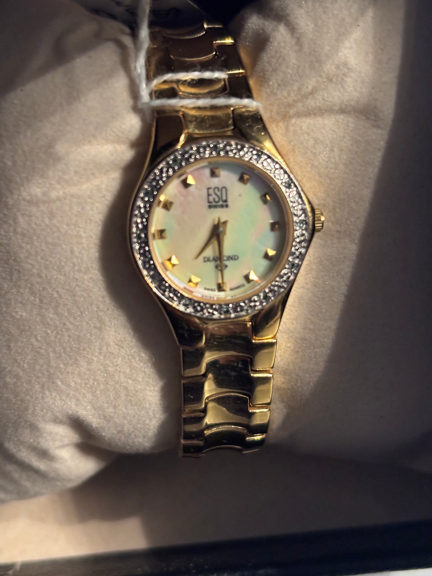 ESQ by Movado Ladies Watch 22mm