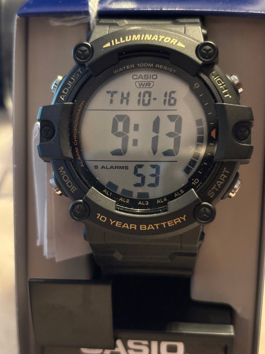 NEW Casio Illuminator