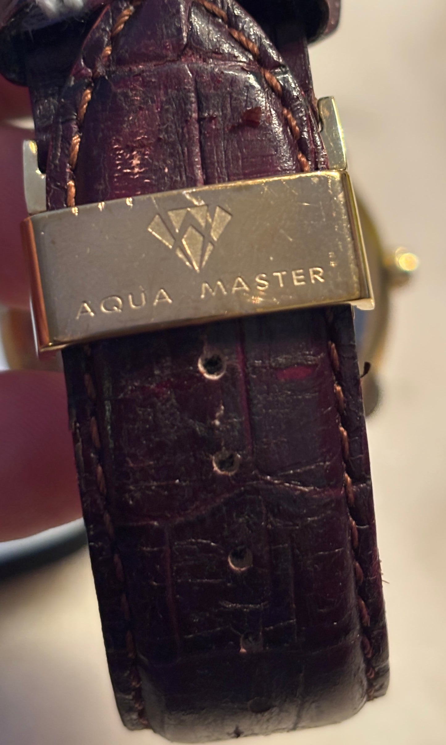 Men's Aqua Master Automatic .20 carat