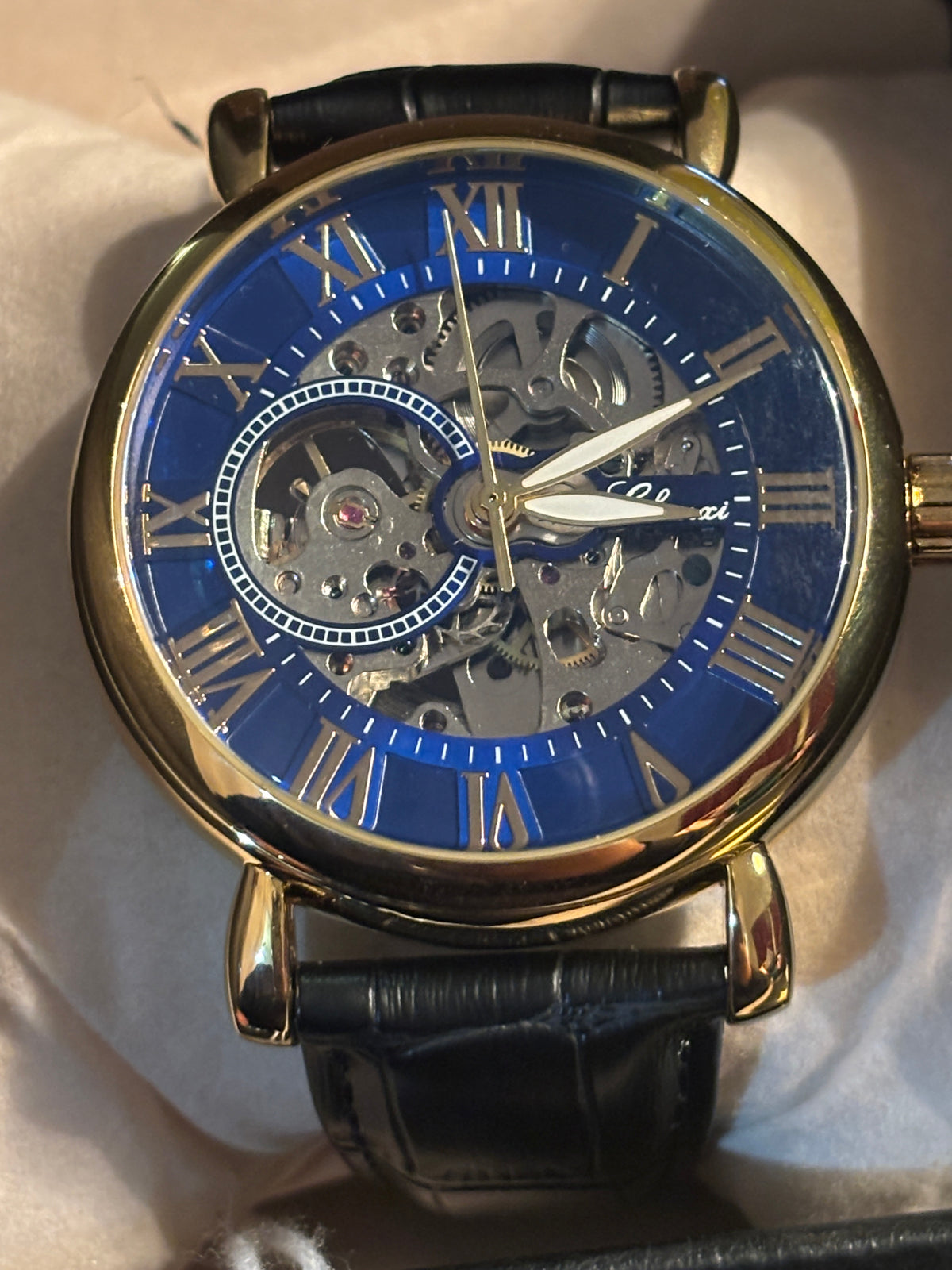 NEW - Chenxi Blue Skeleton Automatic -42mm