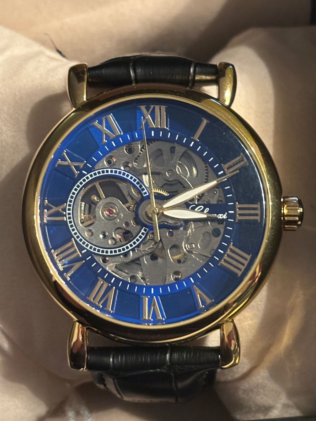 NEW - Chenxi Blue Skeleton Automatic -42mm